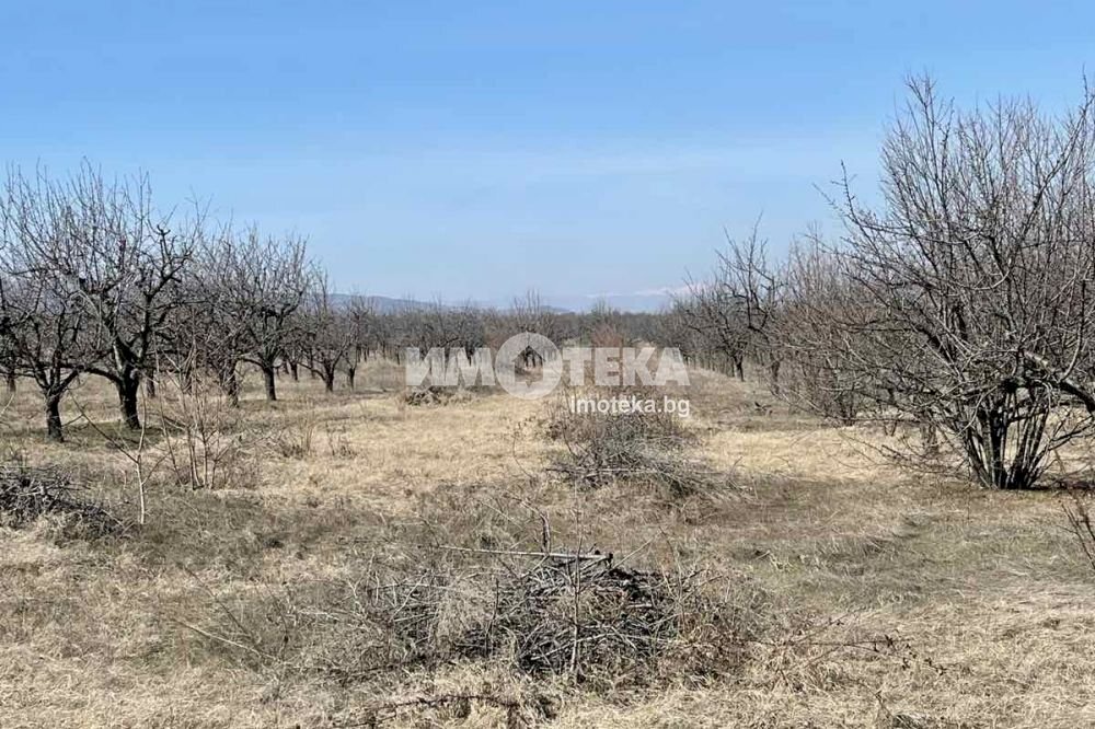 Terreno agricolo Belashtitsa village, Plovdiv - foto 1