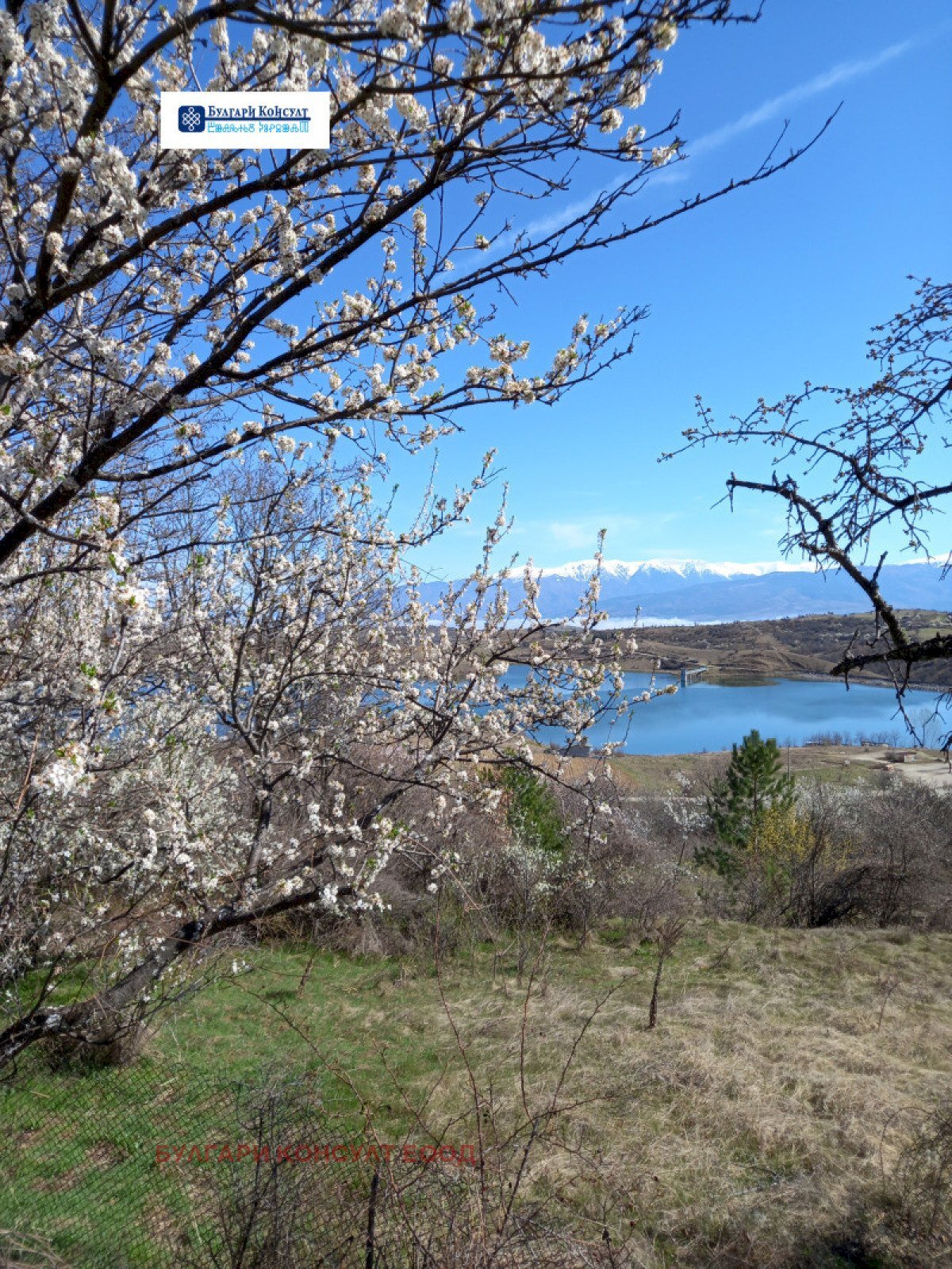 Agricultural land с. Логодаж, Blagoevgrad - photo 1