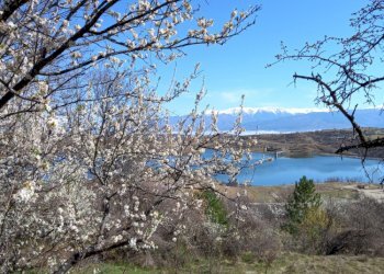 Terreno agricolo с. Логодаж, Blagoevgrad - foto 1