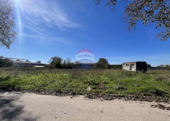 Building land General Toshevo - photo 1