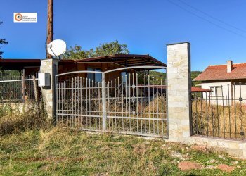 Вили Трън - фото 1