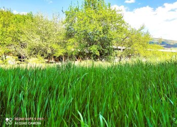 Вили Асфалтова улица, Ковачевци - фото 1