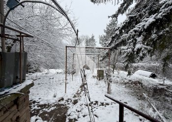 Вили в.з. Ромча, Своге - фото 1