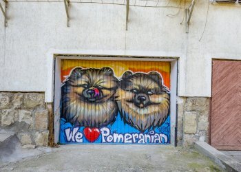 Attico Sofia (zona Лозенец) - foto 2