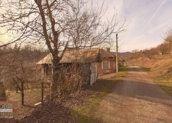 Вили с. Еловица, Георги Дамяново - фото 1