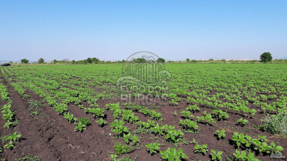 Building land Пети километър, Burgas - photo 1
