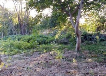 Terreno edificabile Avren - foto 1