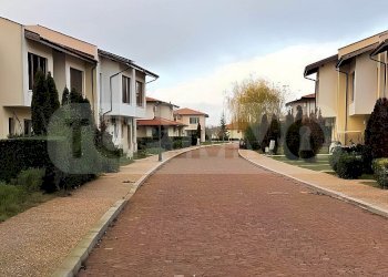 Вили Добрич - фото 1