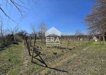 Terreno agricolo в.з. Касева Чешма, Ruse - foto 1