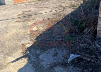 Terreno edificabile с. Друмево, Shumen - foto 1