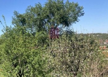 Terreno agricolo Ruse (zona Средна кула) - foto 3