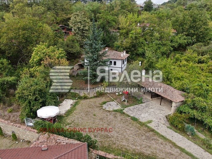 Вили Вълчедръм - фото 1
