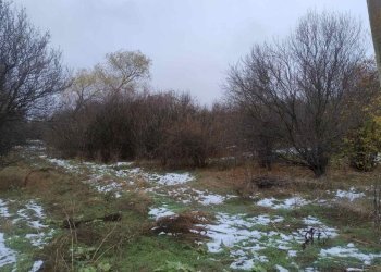 Agricultural land с. Николаево, Radomir - photo 1
