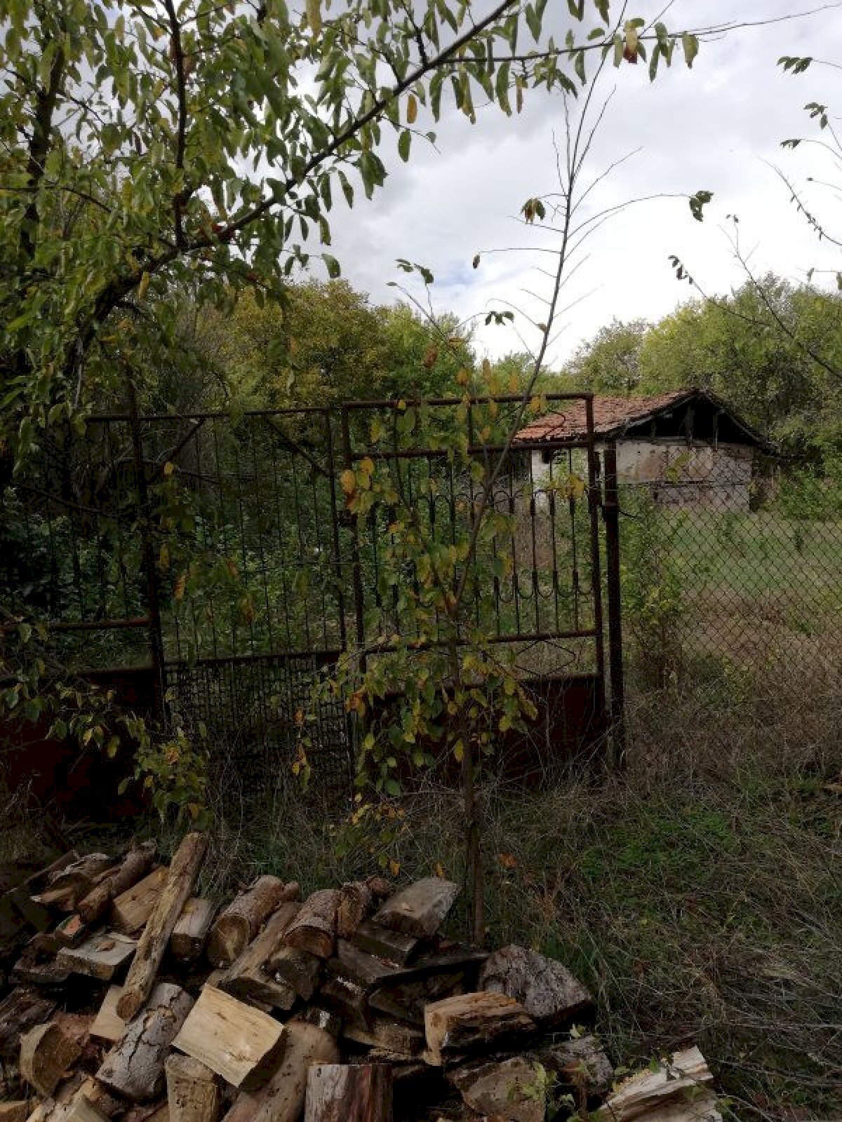 Agricultural land с. Велковци, Breznik - photo 1