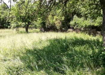 Terreno agricolo с. Егълница, Kovachevtsi - foto 1