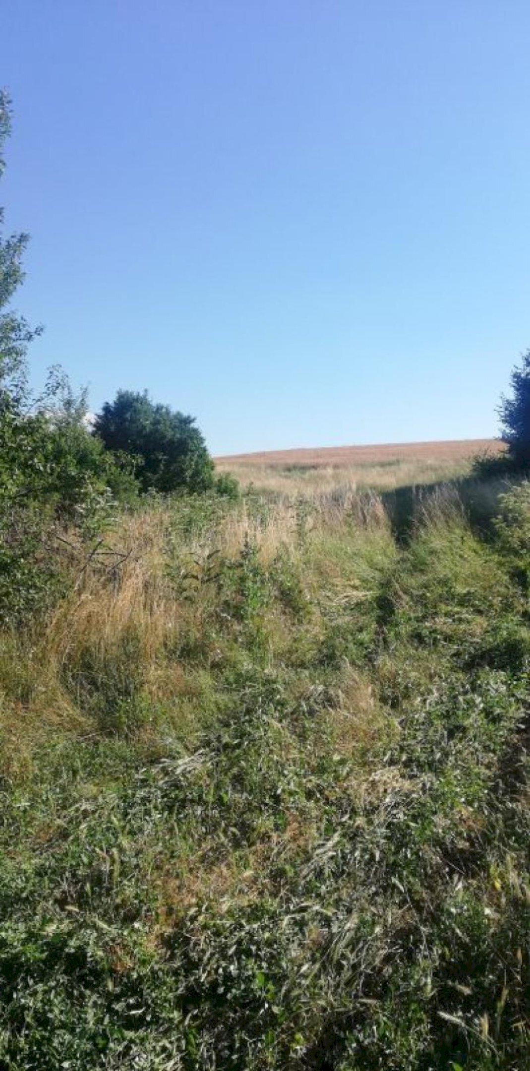 Agricultural land с. Сопица, Breznik - photo 1