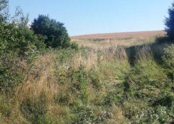 Agricultural land с. Сопица, Breznik - photo 1