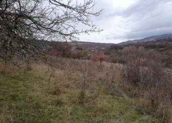 Земеделска земя с. Еловдол, Земен - фото 1