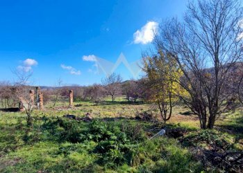Building land Balchik - photo 1