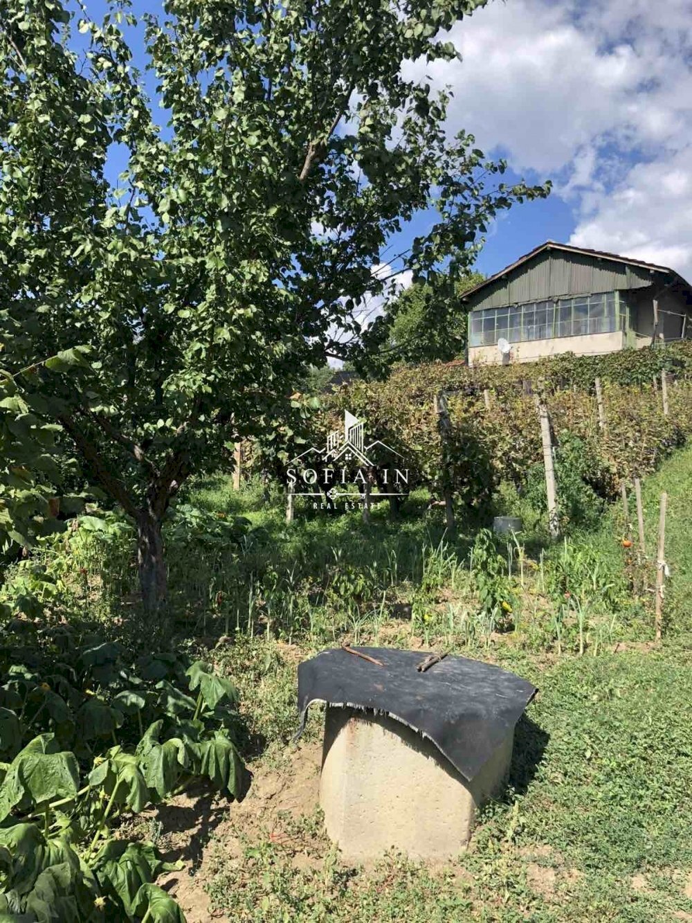 Villa гр. Дупница, Dupnitsa - photo 1