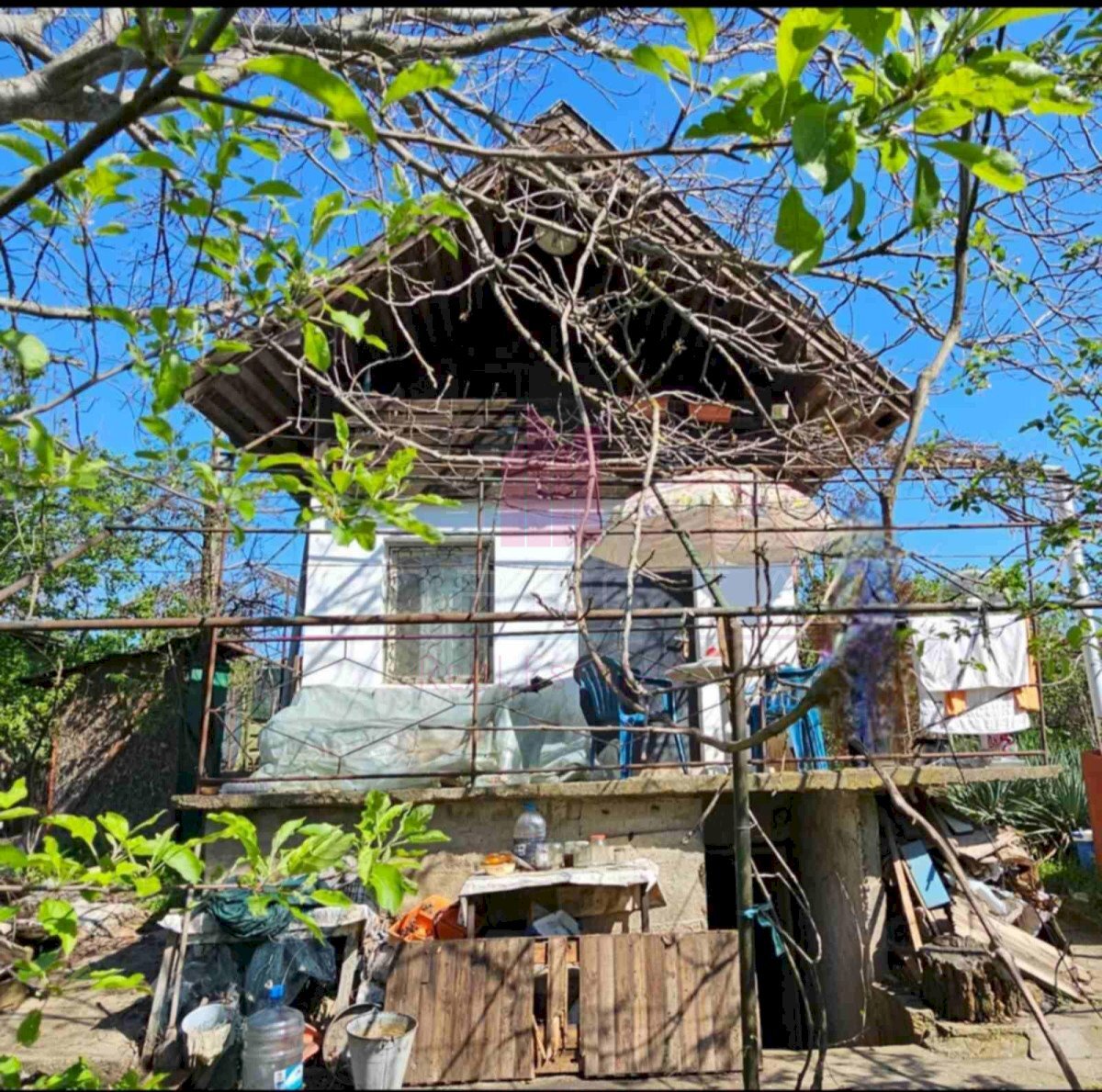 Вили Левента, Русе - фото 1