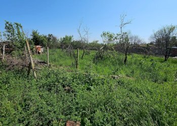 Земя за строеж Лясковец - фото 1
