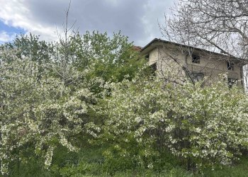 Самостоятелна къща Шумен - фото 1