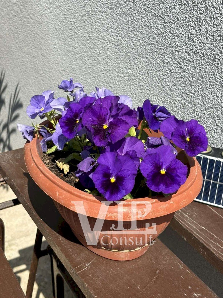 Villa Balchik - foto 1