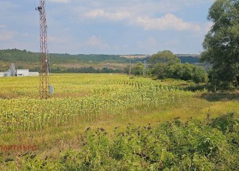 Terreno agricolo с. Ковачевци, Pernik - foto 1