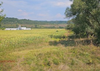 Agricultural land с. Ковачевци, Pernik - photo 2