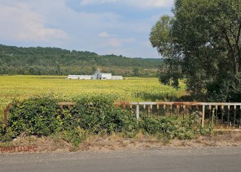 Agricultural land с. Ковачевци, Pernik - photo 3