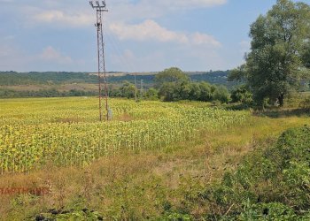 Agricultural land с. Ковачевци, Pernik - photo 4