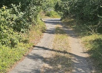 Земя за строеж с. Ковачевци, Ковачевци - фото 3
