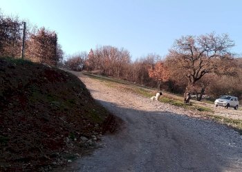 Agricultural land с. Боснек, Pernik - photo 1