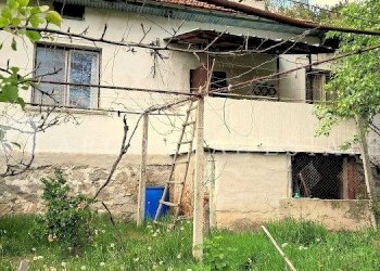 Вили Костенец - фото 1