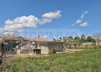 Вили Варна - фото 1