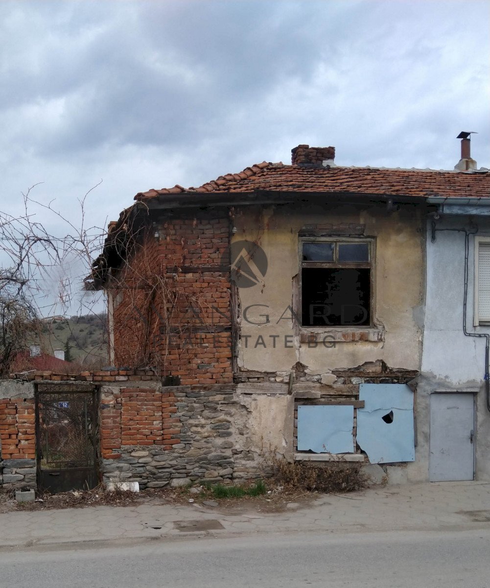 Вили Родопи - фото 1
