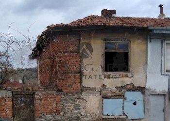 Вили Родопи - фото 1