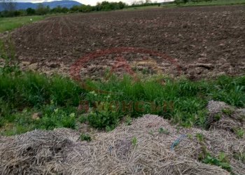 Agricultural land Shumen (neighborhood Макак) - photo 1