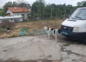 Commercial Premises с. Брястово, Mineralni Bani - photo 3