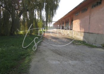Locale Commerciale Polski Trambesh - foto 1