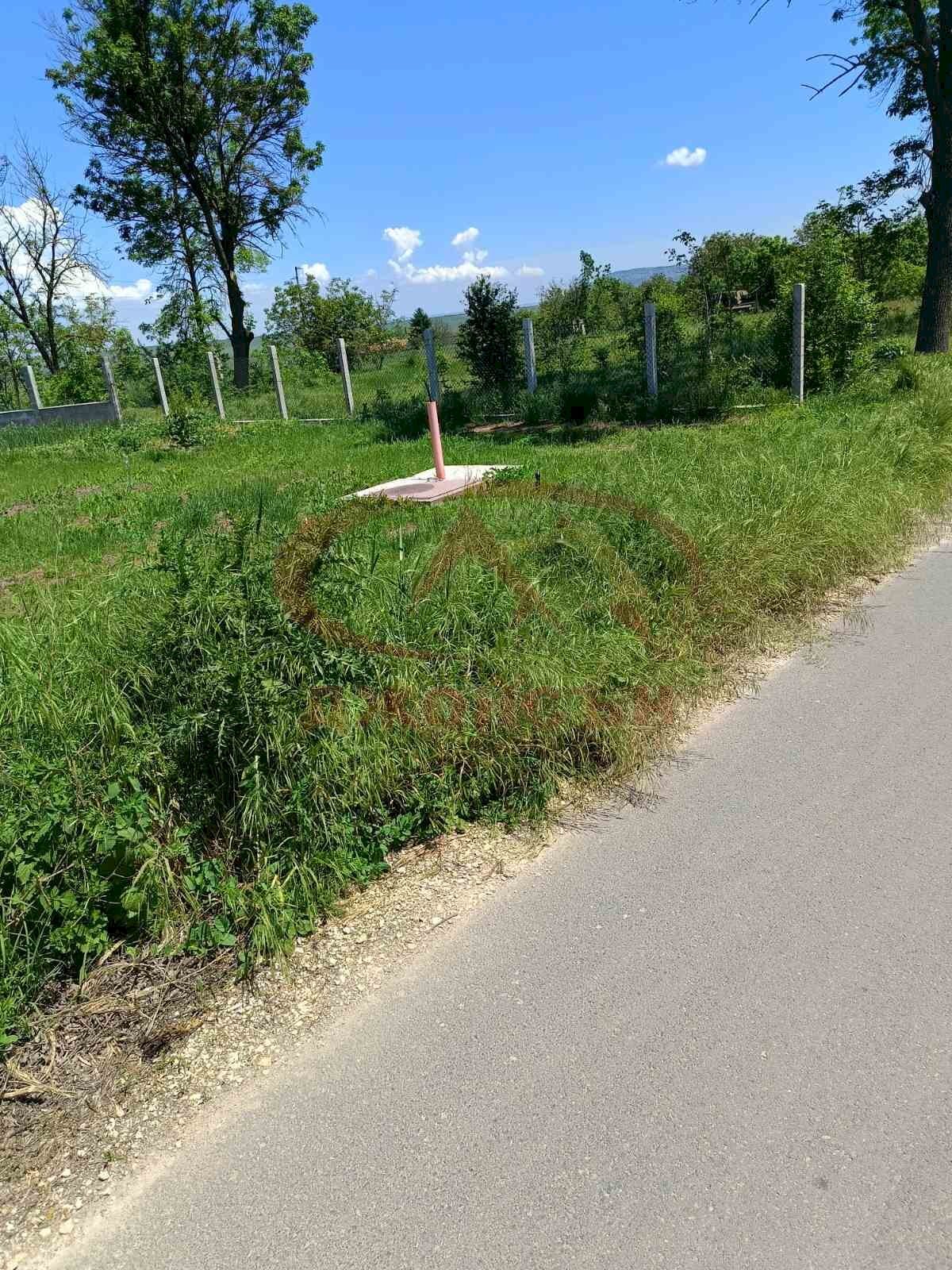 Agricultural land с. Васил Друмев, Shumen - photo 1