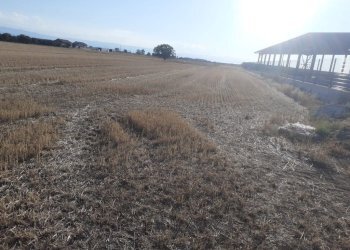 Building land Maritsa - photo 1