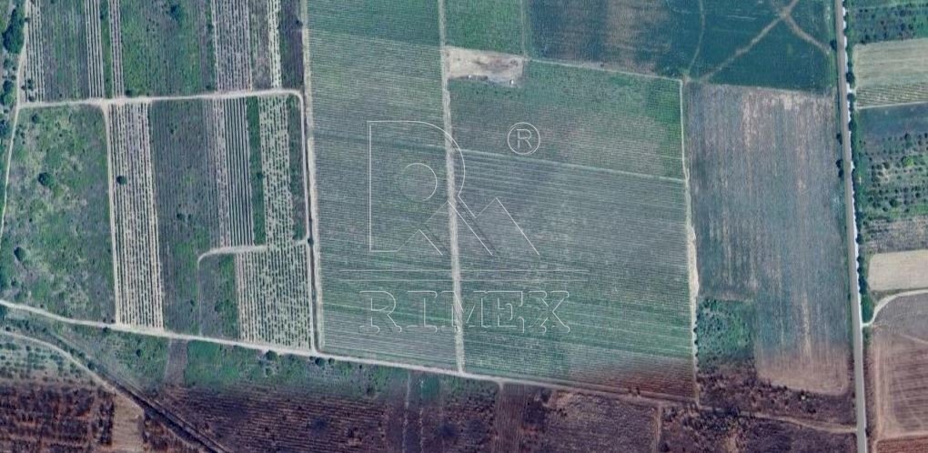 Terreno agricolo Rodopi - foto 1